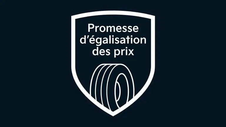 Price Match Promise logo