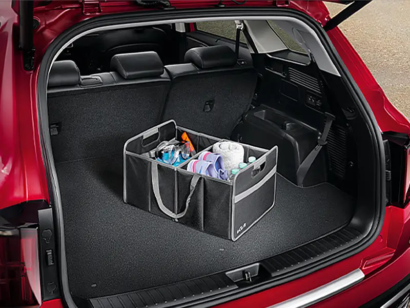 Cargo Organizer