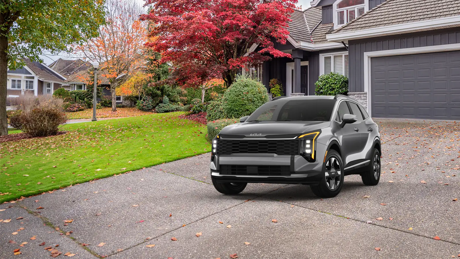The Sportage