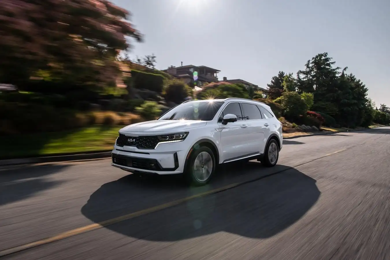 Kia SUVs being used for business purposes including transport