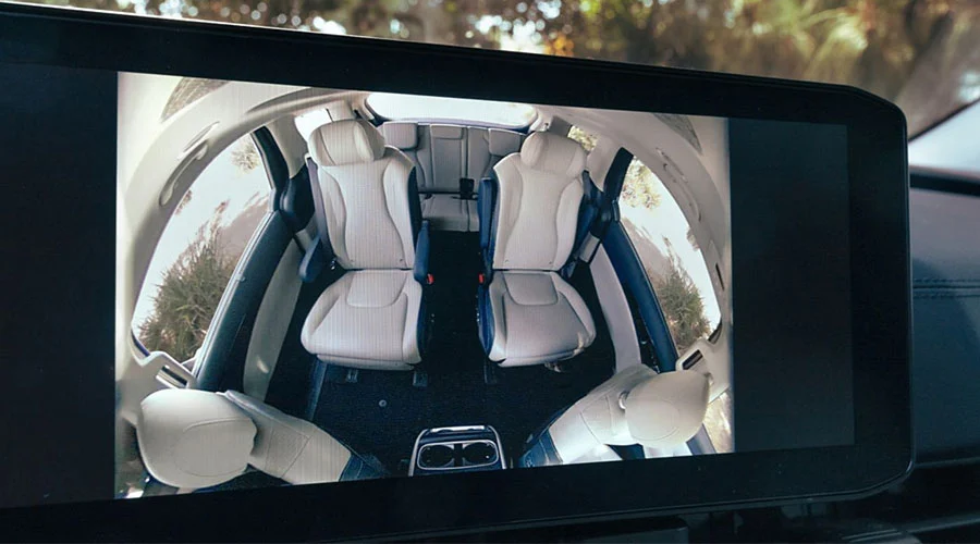 Passenger View Monitor