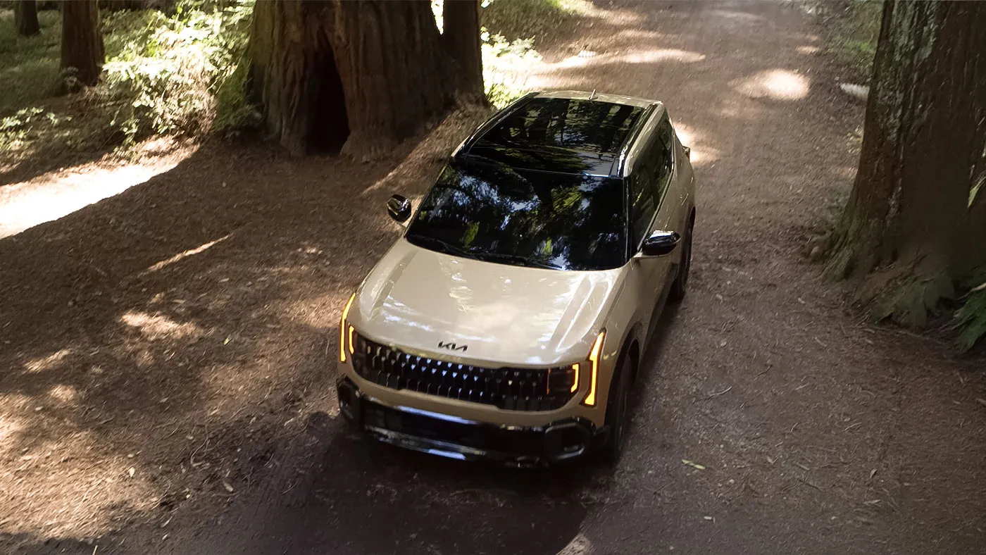 Panoramic Power Sunroof
